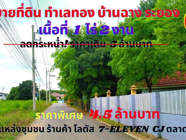 ขายที่ดินระยอง บ้านฉาง เนื้อที่ 1ไร่ 2 งาน ตสำนักท้อน อบ้านฉาง จระยอง ทำเลทองเหมาะสำหรับโครงการบ้านพักอาศัย