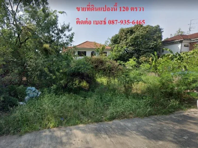 ขายที่ดินด่วน ที่ดินจรัญ 13 บางแวก 120 ตรวา