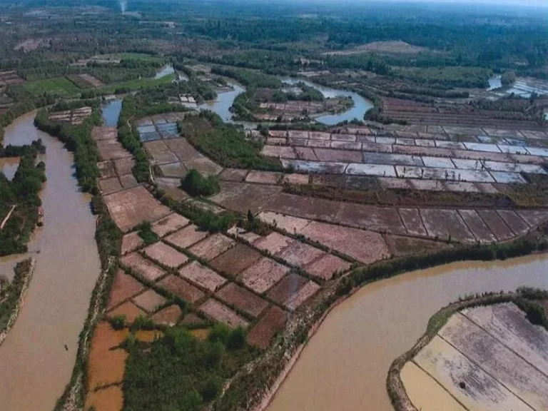 ขายที่ดินเนื้อที่ 420 ไร่ อโพนพิสัย จหนองคาย