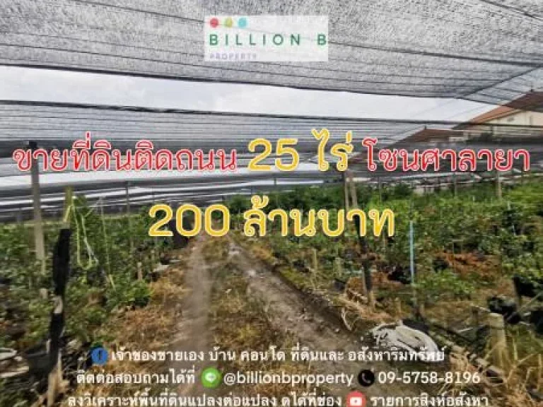 ขาย ที่ดิน เหมาะสำหรับ Wellness City ติดถนนใหญ่ อยู่ไม่ไกลจากตัวเมืองศาลายา 25 ไร่ มีสิ่งอำนวยความสะดวกครบครัน