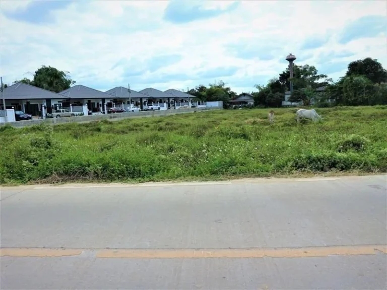 ขายที่ดินใกล้เทศบาลสันผักหวานหางดง โฉนดพร้อมโอน