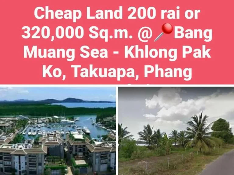 ขายที่ดินหรือให้เช่า 200ไร่ ติดทะเลบางม่วง อตะกั่วป่า พังงา Land For Sale or Lease 200 Rai Bngmuang Sea Takuapa Phang Nga