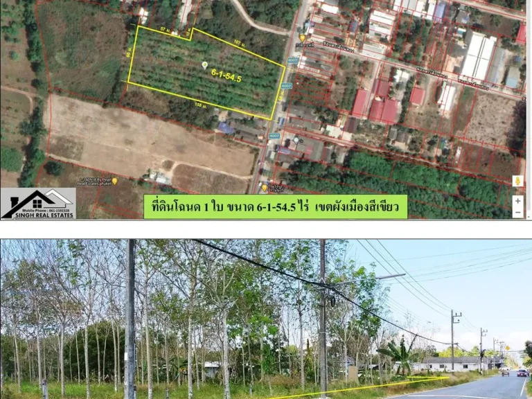 ขายที่ดินสวนยาง 6-1-545ไร่ แถวป่าครองชีพ ใกล้รรนานาชาติUWC ผังเขียว