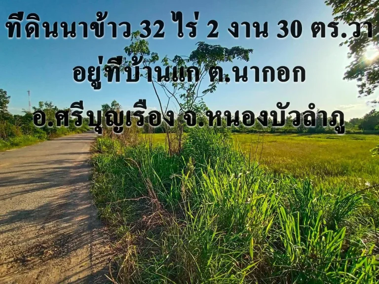 ที่ดินสวยราคาถูก อศรีบุญเรือง จหนองบัวลำภู พื้นที่ 32 ไร่กว่า