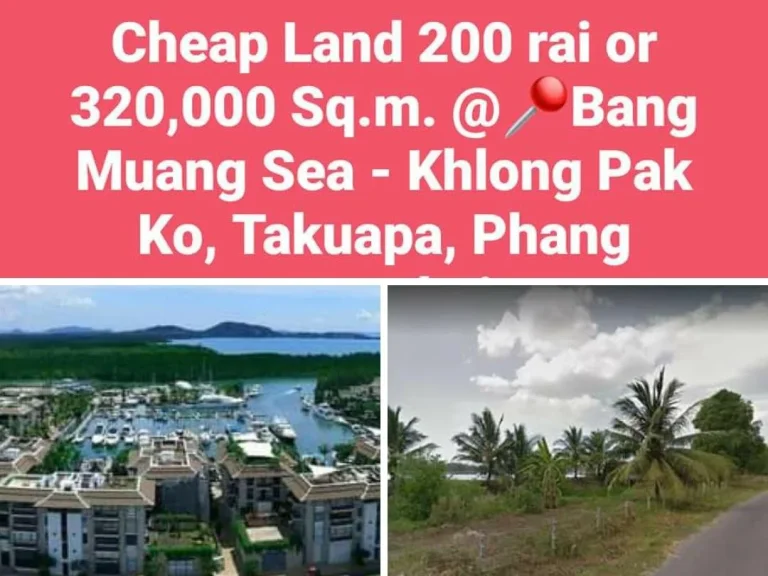 ขายที่ดินหรือให้เช่า 200 ไร่ ทะเลบางม่วง อตะกั่วป่า พังงาLand For Sale or Leases 200 rai Bang Muang Sea Takuapa Phang nga