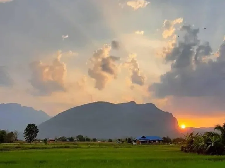 ขายที่ดินวิวดอยหลวง เมืองงาย เชียงดาว พร้อมโอน