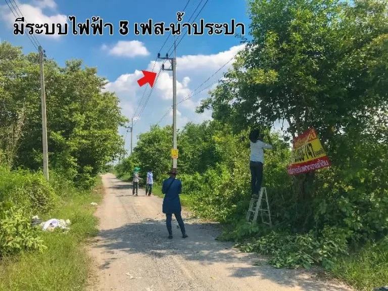 ขายที่ดินต่ำกว่าตลาด 2 ไร่ อคลองหลวง