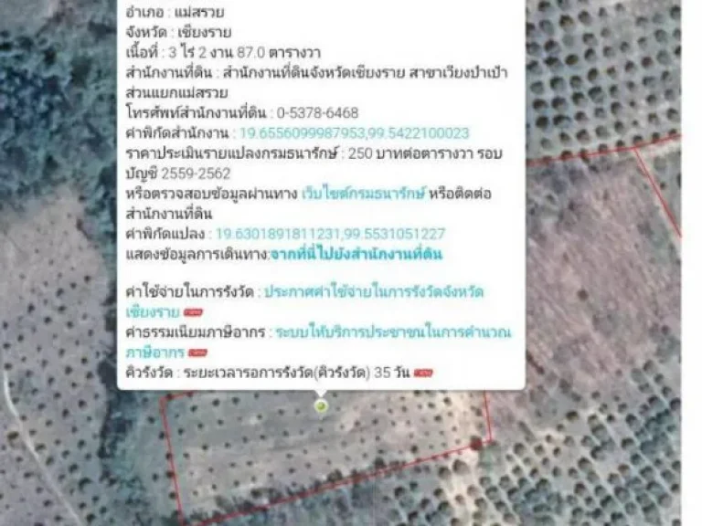 ขายที่สวน ลำไยอายุ 5 ปี ประมาณ120 ต้นตแม่สรวย อแม่สรวย จเชียงราย เนื้อที่ 3-287 ไร่ ราคา25แสนไร่ ราคา 92 แสน