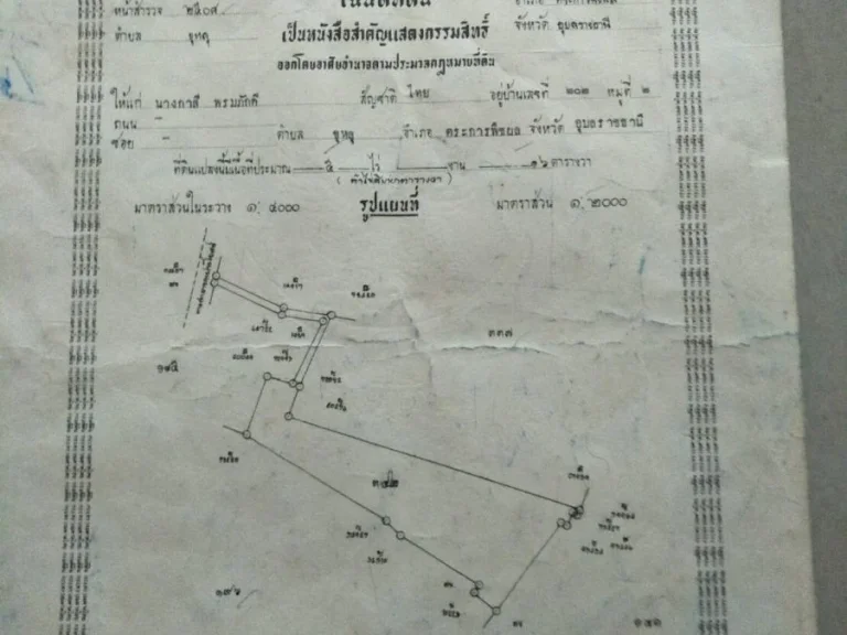 ขายที่นา 516 ไร่ จังหวัด อุบลราชธานี