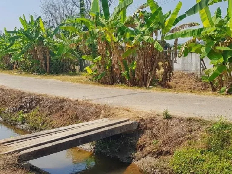 ขายที่นา วิวสวย ติดถนนคอนกรีต ติดลำเหมือง