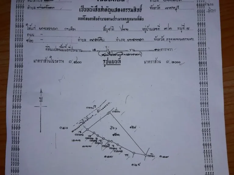 ขายด่วน- ที่ดิน อำเภอบ้านแหลม จังหวัดเพชรบุรี