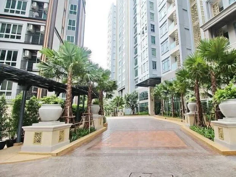 Condo for SalesRent Mayfair Place สุขุมวิท 50 1 Bed 1 Bath 35 SQM 11F BTS Onnut