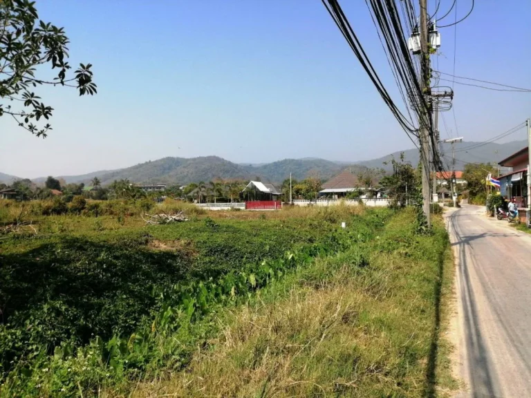 ขายที่ดินไกล้มหาลัยแม่ฟ้าหลวง ห่างถนน 150 เมตร