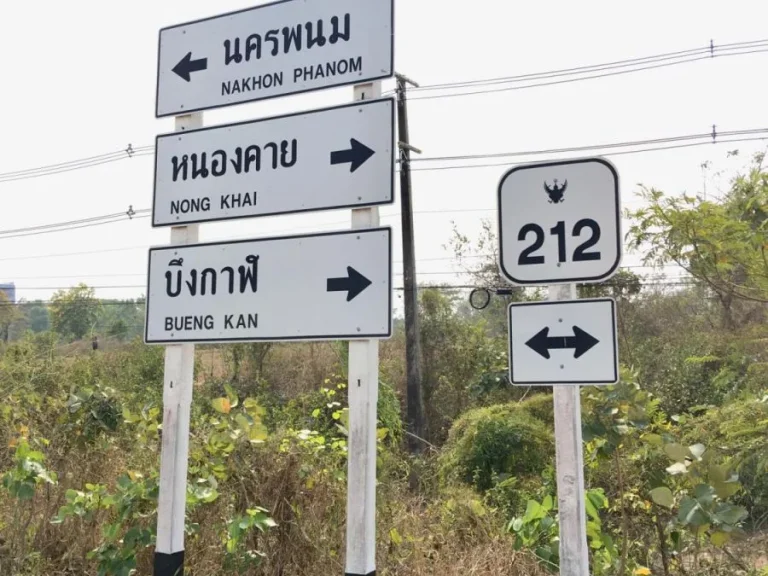 ขายที่ดิน 11 ไร่ ขายเหมายกแปลง 30 ล้าน บนถนนทางหลวง 212 นครพนม - ท่าอุเทน ห่างจากสะพานมิตรภาพไทยลาว 3 เพียง 1 กม ใกล้สะพานไทยลาวนครพนม หน้ากว้างติดถน