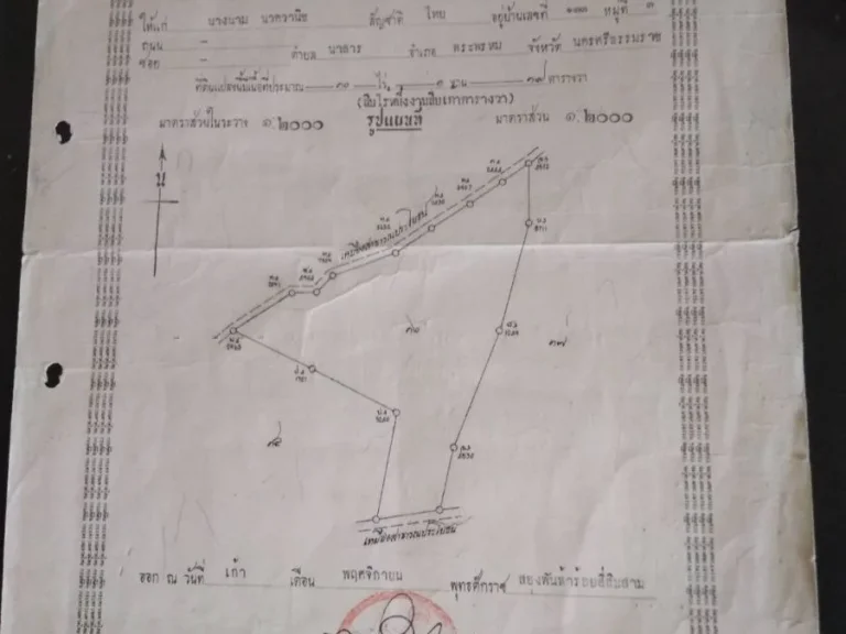 ขายที่ดิน 10 ไร่ มีโฉนด มีทางเข้าออก จนครศรีธรรมราช