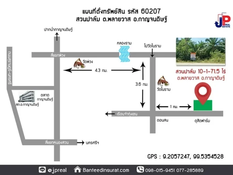 ขาย สวนปาล์ม 10ไร่ อกาญจนดิษฐ์ สุราษฎร์ธานี ราคาถูก รับผลผลิตได้เลย ใกล้วัดในราม 5นาที