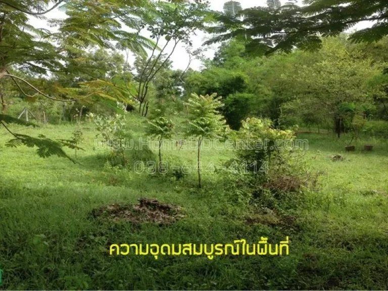 ขายถูกมาก ที่ดิน 16 ไร่ ตหนองประดู่ อเลาขวัญ จกาญจนบุรี