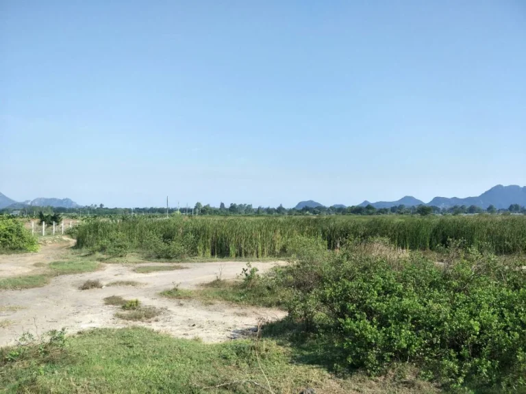 Land for Sale ขายที่ดินแปลงนี้ 19 ไร่ 3งาน ตเกาะหลัก เมืองประจวบ ราคาไร่ล่ะ 700000 บาท