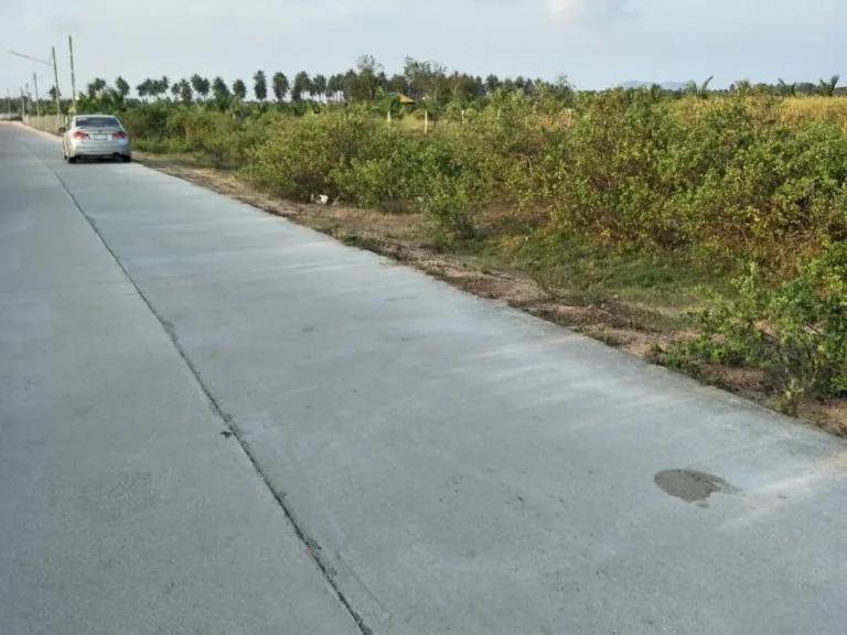 Land for Sale ขายที่ดินแปลงนี้ 19 ไร่ 3งาน ตเกาะหลัก เมืองประจวบ ราคาไร่ล่ะ 700000 บาท