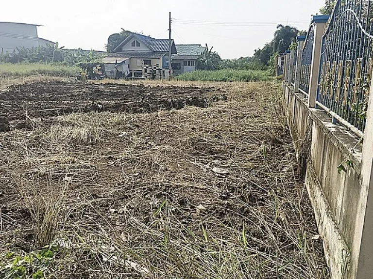 ขายที่ดิน ซอยโรงเรียน วัดเต็มรัก เหมาะซื้อลงทุน ทำเลดี แปลงสวย สร้างบ้านพักอาศัย ที่ดิน ราคาถูก