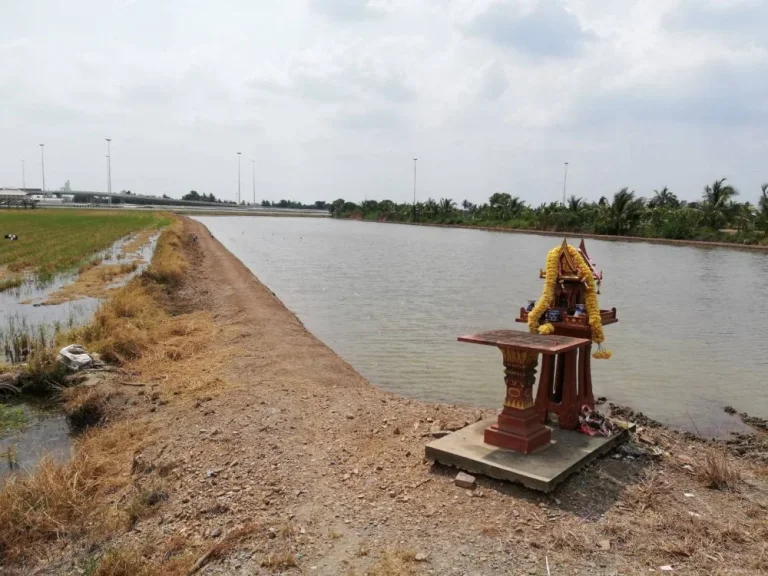 ขายที่ดิน 10-1-70 ไร่ 4170 ตรว ติดถนน ราชพฤกษ์-ปทุม-กาญจนาภิเษก ปทุมธานี