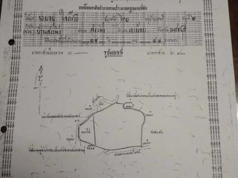 ขายที่ดินเปล่า 16 ไร่ ตำบลสระพัง อำเภอเขาย้อย จังหวัดเพชรบุรี