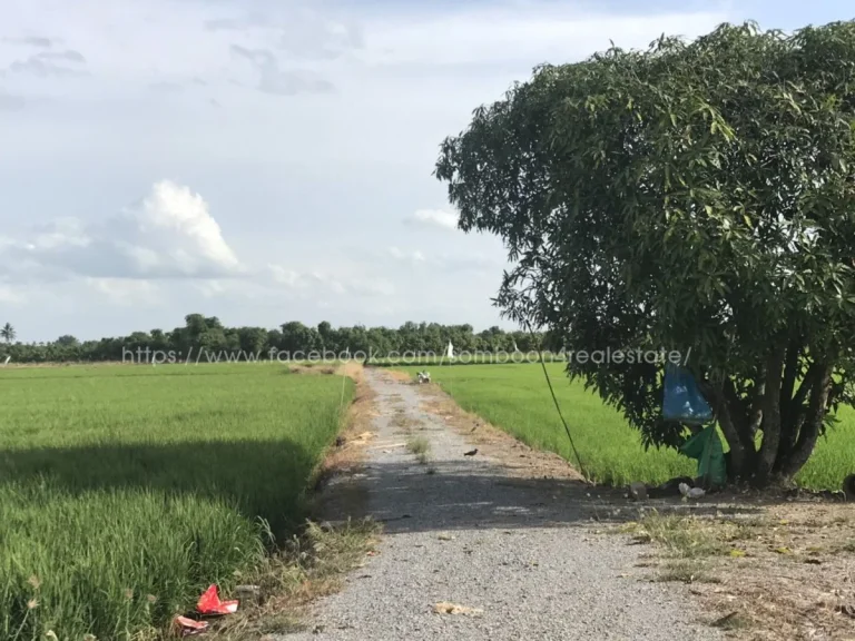 ขายด่วนที่ดิน 44ไร่ ติิดถนนสายสุพรรณบุรี-ชัยนาท ทล340