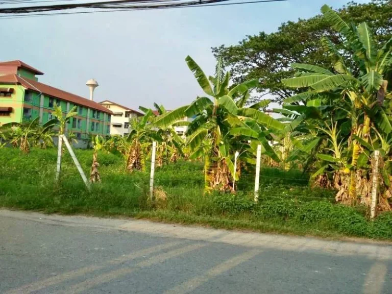 ขายที่ดินในเมืองเชียงใหม่ โซนเวียงบัว- สันติธรรม