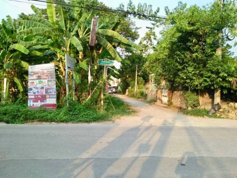 ขายที่ดินในเมืองเชียงใหม่ โซนเวียงบัว- สันติธรรม