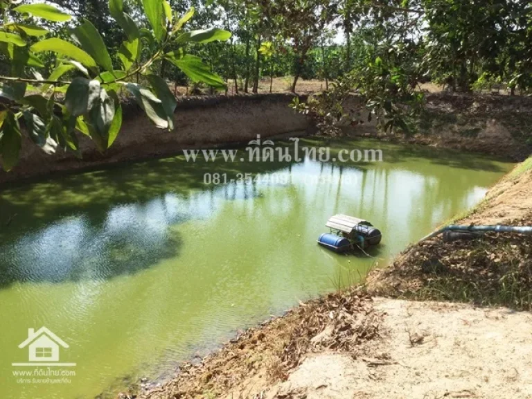 ขายสวนทุเรียนหมอนทอง-จันทบุรี โฉนด11-1-54ไร่ ตฉมัน อมะขาม จจันทบุรี รหัส L201