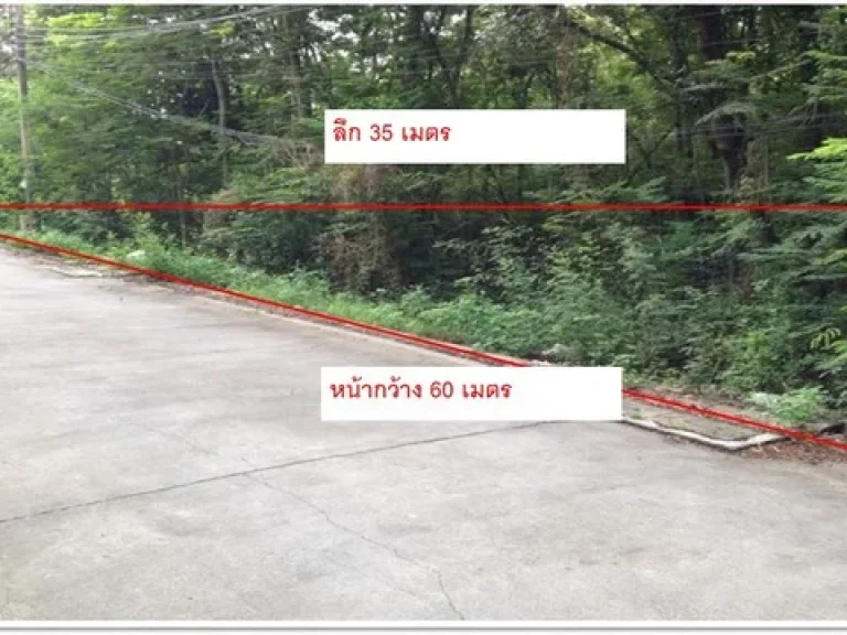 ขายที่ดินราคาถูก 482 ตรว ติดดอนเมือง -ศรีสมาน-ติวานนท์ ปากเกร็ด นนทบุรี