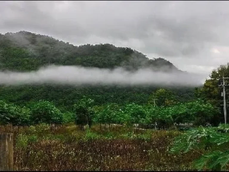 ขายที่ดินติดถ้ำเอราวัณ จเลย