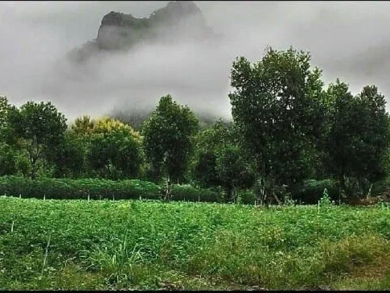 ขายที่ดินติดถ้ำเอราวัณ จเลย