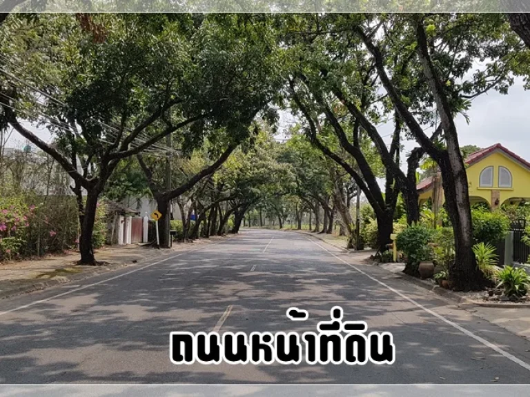 ขาย ที่ดินหมู่บ้านนวธานี ด้านหน้าติดถนนเมน ด้านหลังติดสนามกอล์ฟ