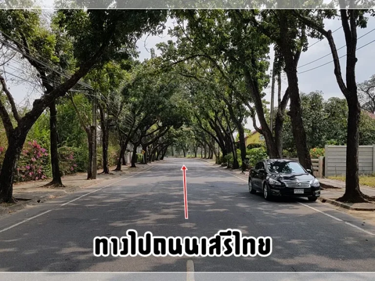 ขาย ที่ดินหมู่บ้านนวธานี ด้านหน้าติดถนนเมน ด้านหลังติดสนามกอล์ฟ