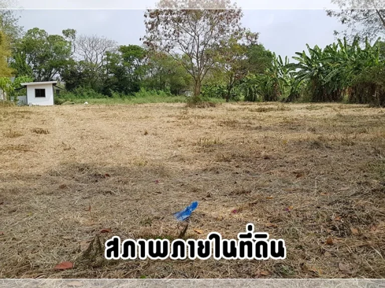 ขาย ที่ดินหมู่บ้านนวธานี ด้านหน้าติดถนนเมน ด้านหลังติดสนามกอล์ฟ