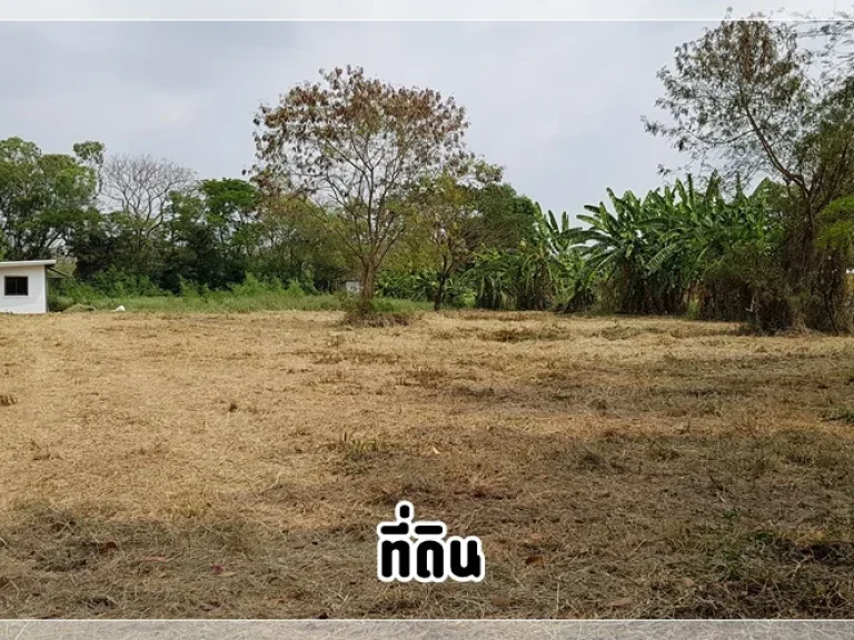 ขาย ที่ดินหมู่บ้านนวธานี ด้านหน้าติดถนนเมน ด้านหลังติดสนามกอล์ฟ