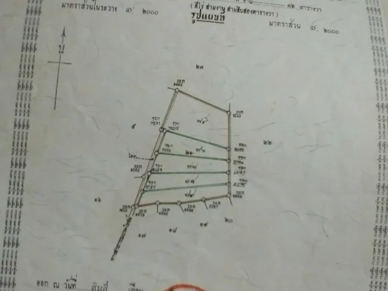 บ้านสะแกงาม ตห้วยใหญ่