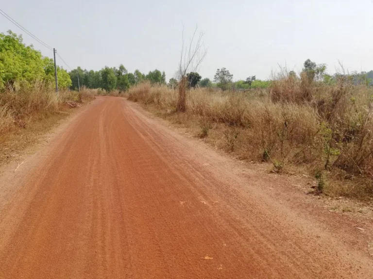 ต้องการขายที่ดิน 39 ไร่ที่โฉนด สว่างแดนดินขับรถ 10 นาทีถึงกลางเมืองสว่าง