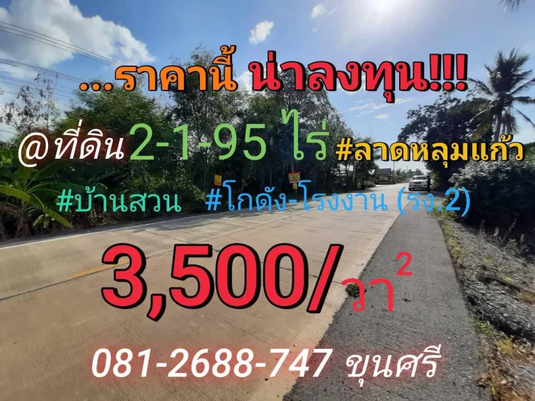 ขายที่ดินลาดหลุมแก้ว 2 ไร่ 1 งาน 95 วา ราคาถูกเหมาะลงทุน ตระแหง จปทุมธานี