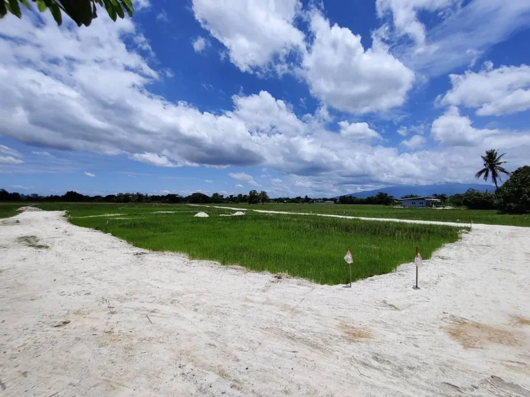 ขาย ที่ดินเปล่า ตสันปูเลย อดอยสะเก็ด