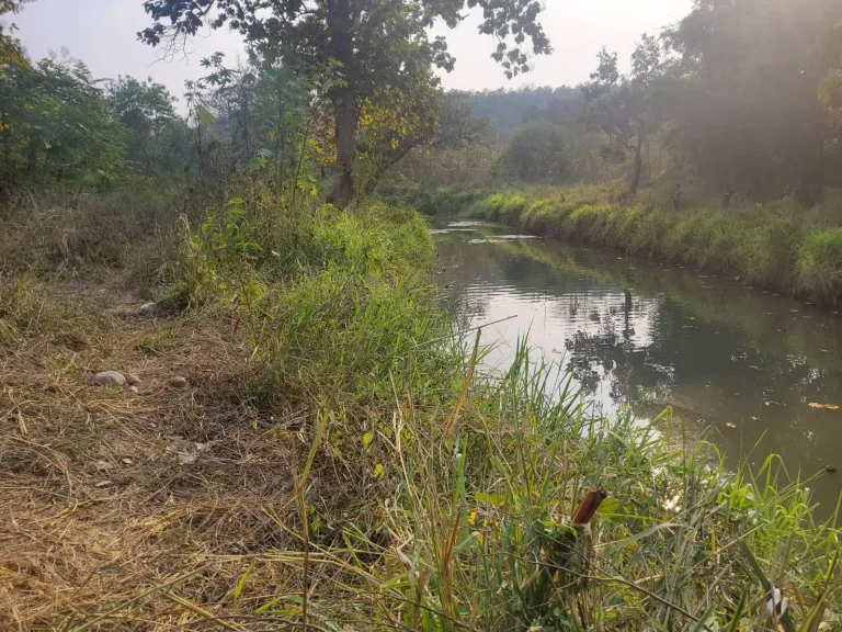 ขายที่ดินติดลำธาร โซนหางดง น้ำแพร่