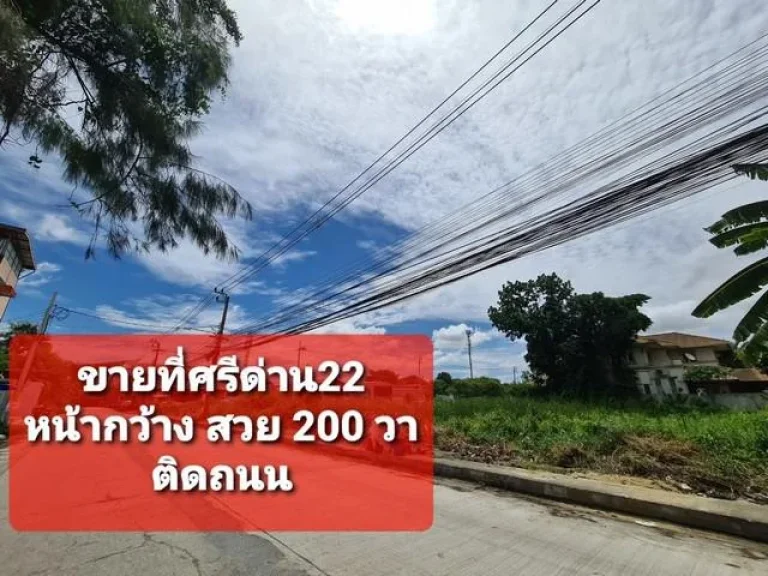 ขายที่ดิน ศรีด่าน 200 วา หน้ากว้าง ติดถนน สวย