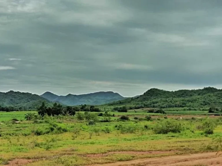 ที่ดินโฉนดวิวทิวเขาสุดสวย แปลง1ไร่ น้ำไฟพร้อม