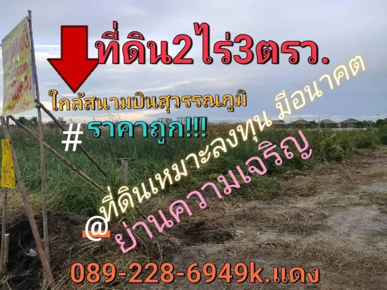 ขายที่ดิน 2ไร่ 1งาน 54ตรว954ตรวราคา7900ตรว