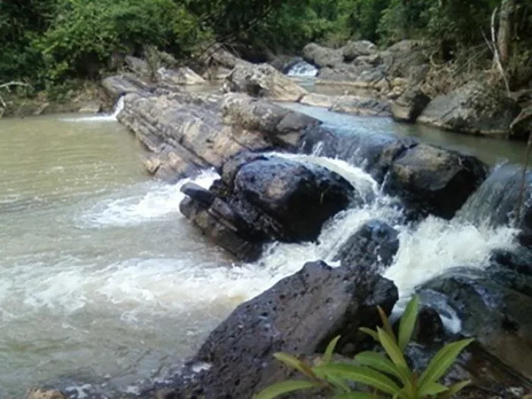 ขายที่ดิน 150 ไร่ติดลำธารใหญ่มีน้ำไหลผ่านทั้งปี