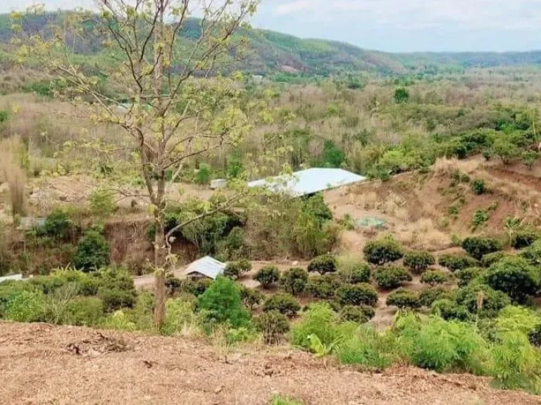 ขายที่ดินเนินดอยบ้านปงหางดง โฉนดพร้อมโอน