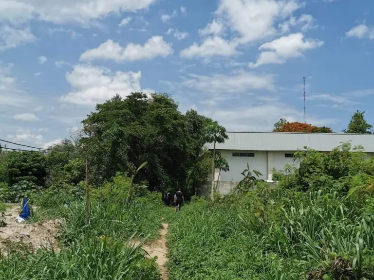 ขายที่ดินหนองหอยในเมือง ราคาไม่ถึงล้าน พร้อมโอน