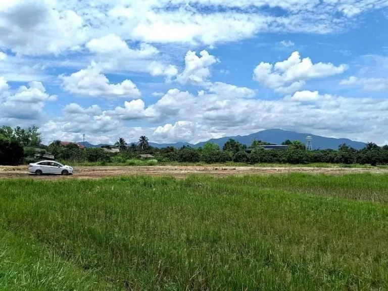 ขายที่ดินบ้านถวายขุนคง หางดง โฉนดพร้อมโอน