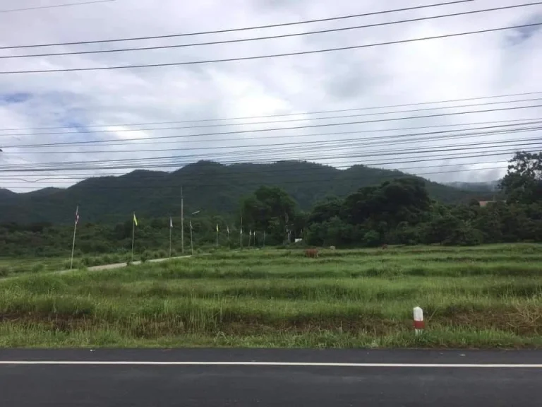 ขายที่ดินติดถนนลาดยาง แม่ทา ทาปลาดุก พร้อมโอน